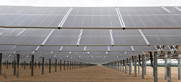 Inside Dubai's Vast Solar Project Leading Clean Energy Drive